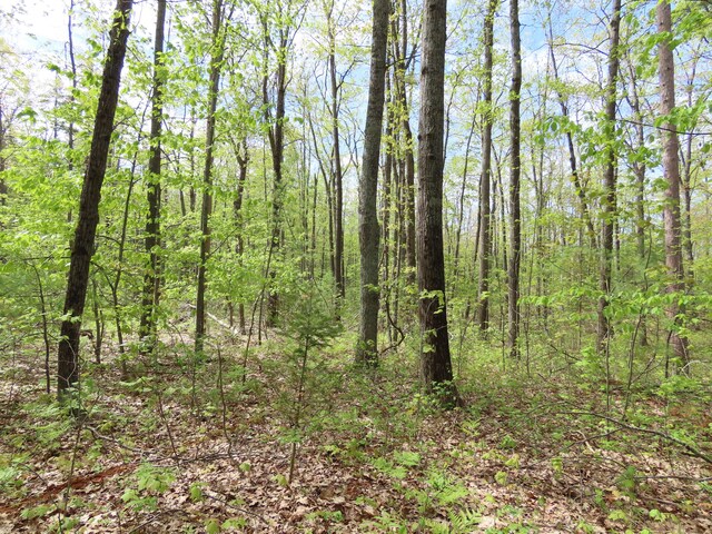 15709 Pleasant Valley Rd, Atlanta, MI 49709 - photo 65