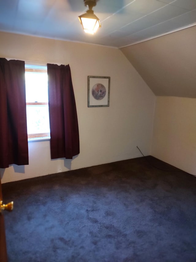 bonus room featuring carpet and vaulted ceiling