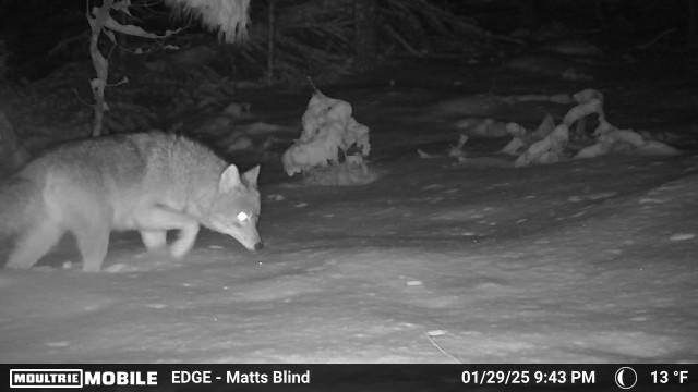 V/L Grouse Trail, Grayling, MI 49738