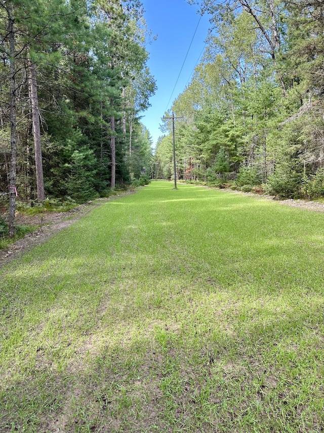 V/L Grouse Trail, Grayling, MI 49738
