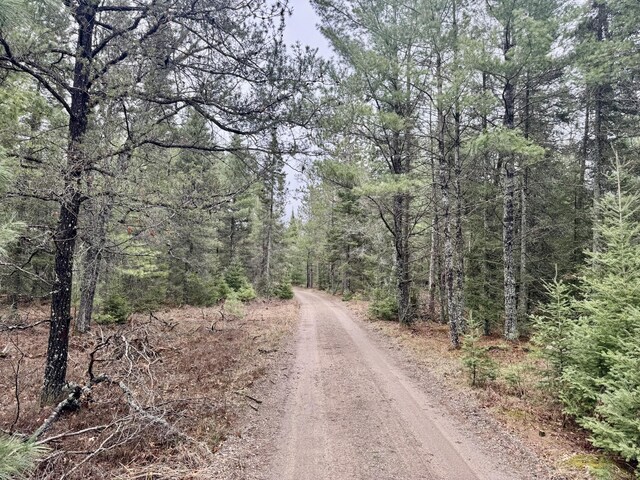 V/L Grouse Trail, Grayling, MI 49738
