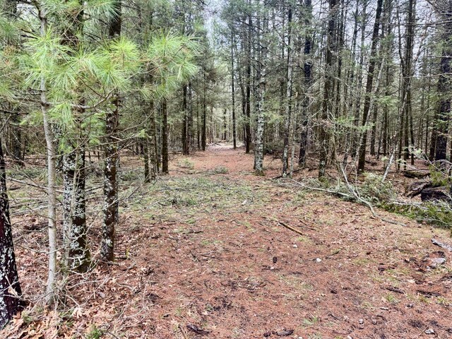 V/L Grouse Trail, Grayling, MI 49738