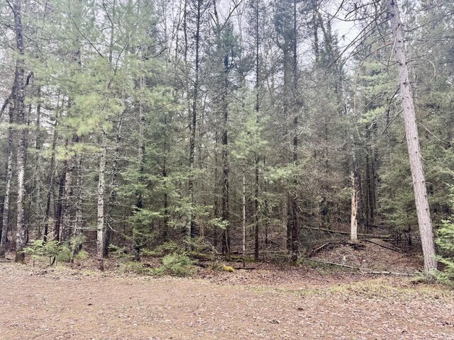 V/L Grouse Trail, Grayling, MI 49738