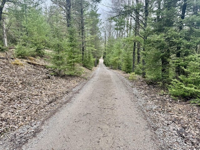V/L Grouse Trail, Grayling, MI 49738