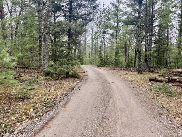V/L Grouse Trail, Grayling, MI 49738