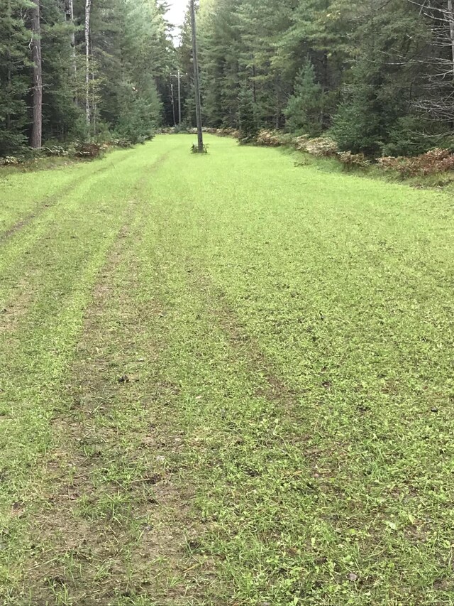 V/L Grouse Trail, Grayling, MI 49738