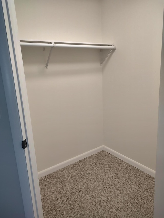 10232 E Airport Rd, Saint Helen, MI 48656 - walk in closet with carpet flooring