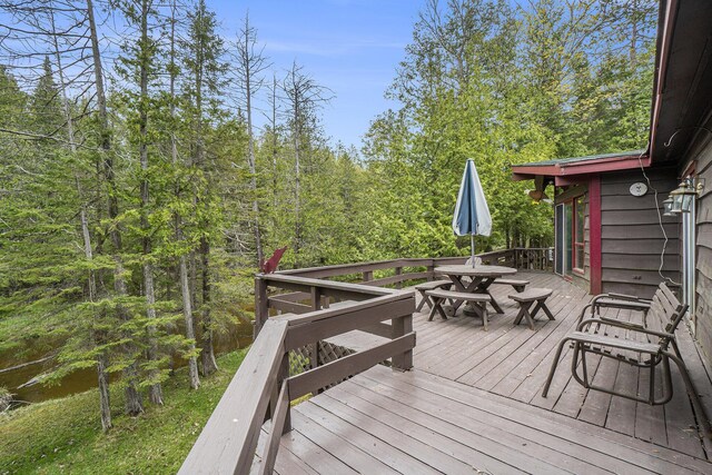 4189 Big Sky Trl, Indian River, MI 49749 - photo 9