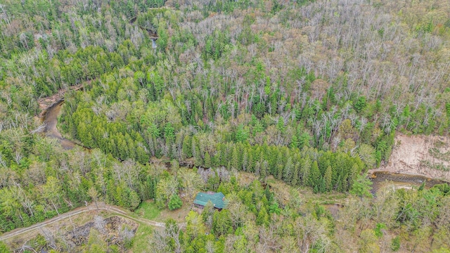 4189 Big Sky Trl, Indian River, MI 49749 - photo 39