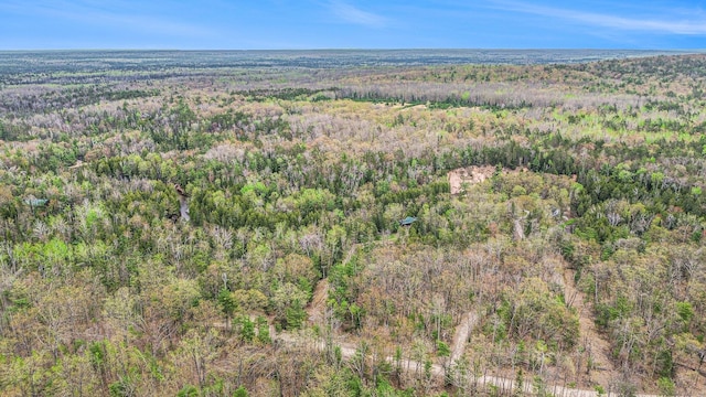 4189 Big Sky Trl, Indian River, MI 49749 - photo 40