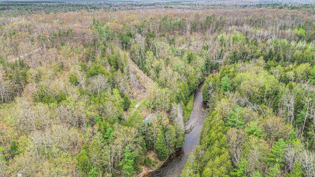 4189 Big Sky Trl, Indian River, MI 49749 - photo 41