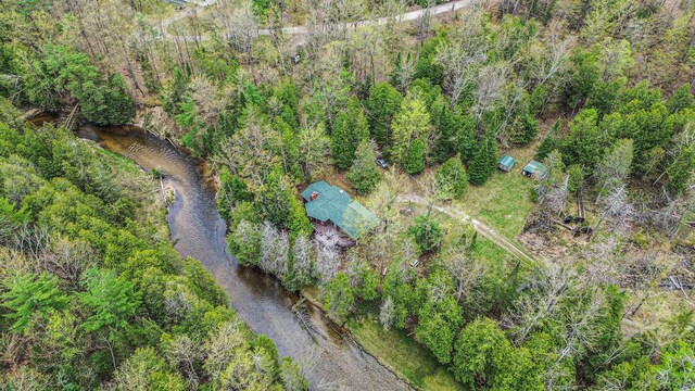 4189 Big Sky Trl, Indian River, MI 49749 - photo 2
