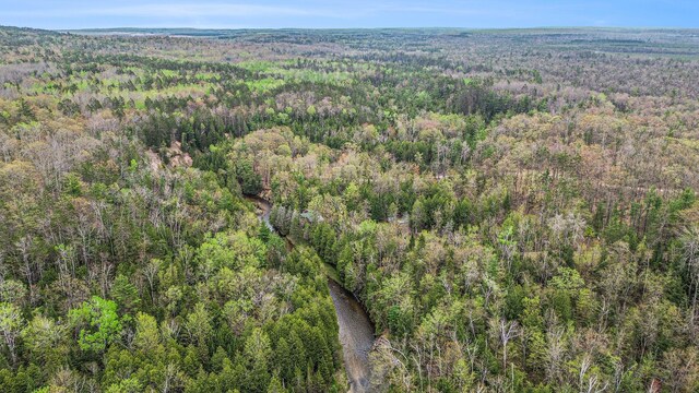 4189 Big Sky Trl, Indian River, MI 49749 - photo 42