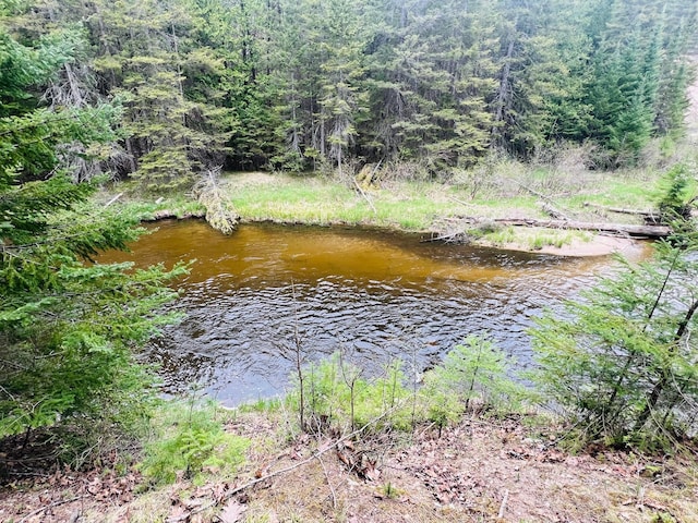 4189 Big Sky Trl, Indian River, MI 49749 - photo 13