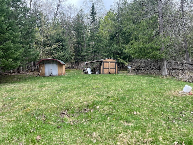 4189 Big Sky Trl, Indian River, MI 49749 - photo 43
