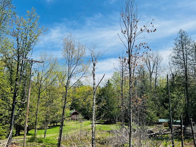 4189 Big Sky Trl, Indian River, MI 49749 - photo 16