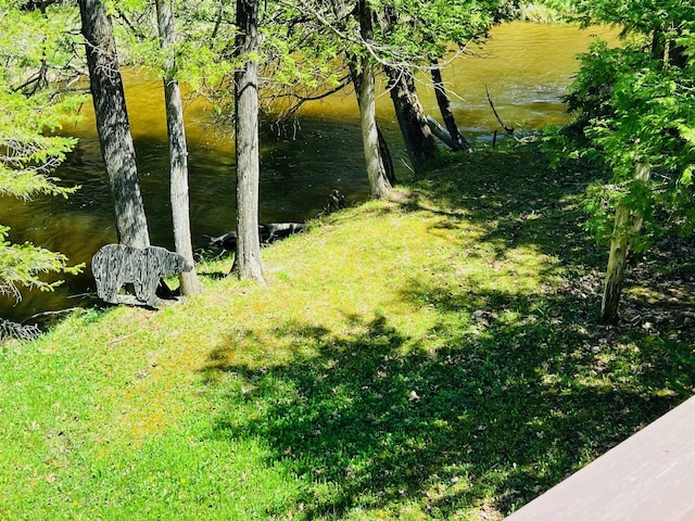 4189 Big Sky Trl, Indian River, MI 49749 - photo 11