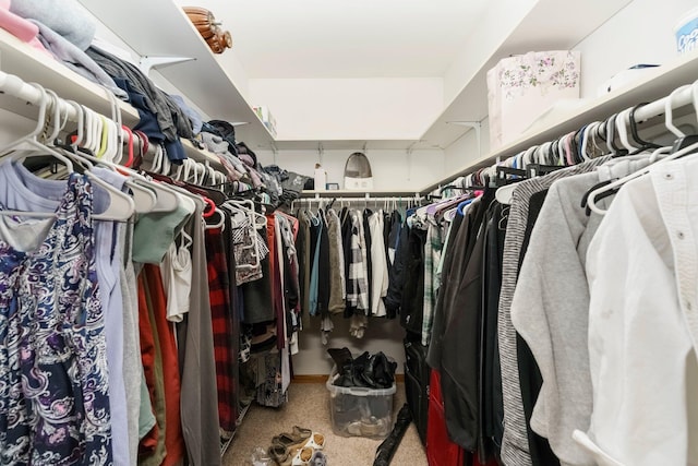 2211 N Kerby Rd, Owosso, MI 48867 - spacious closet featuring carpet floors
