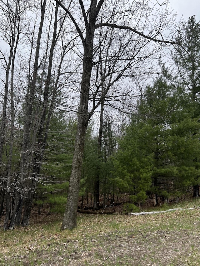 LOT12 Misty Meadow Ct, Roscommon, MI 48653