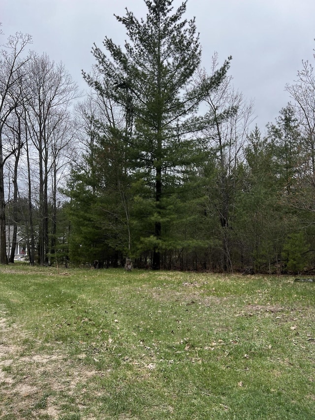 LOT12 Misty Meadow Ct, Roscommon, MI 48653