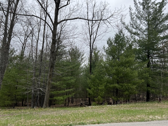 LOT12 Misty Meadow Ct, Roscommon, MI 48653