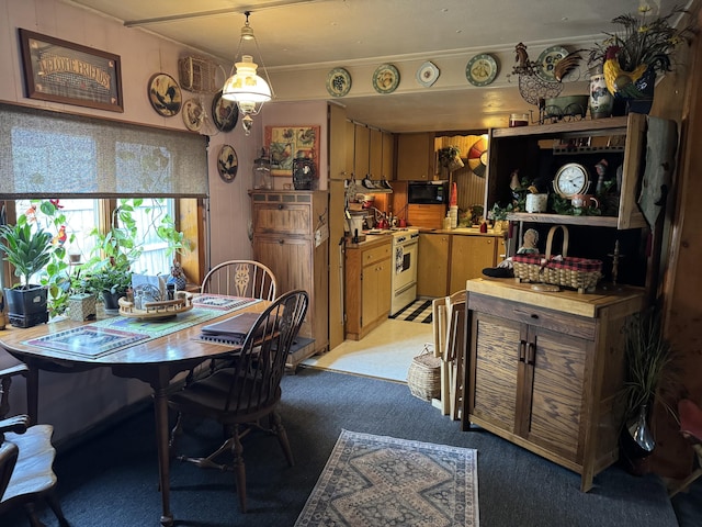 dining area with light colored carpet