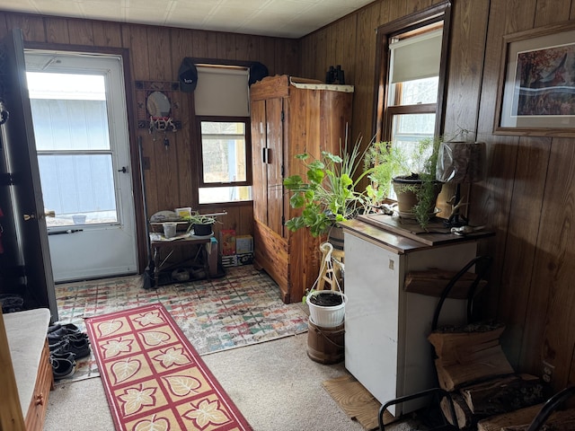 interior space with wood walls and carpet