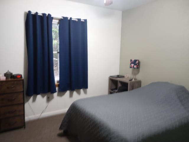 bedroom featuring carpet