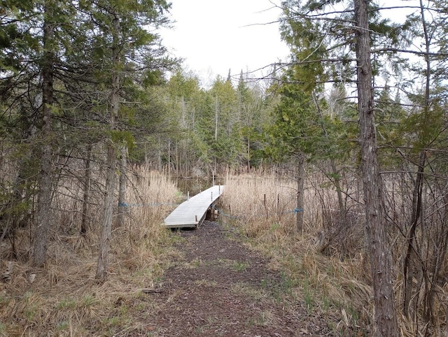 dock area with a wooded view
