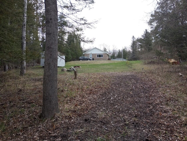 view of yard with an outdoor structure and a storage shed