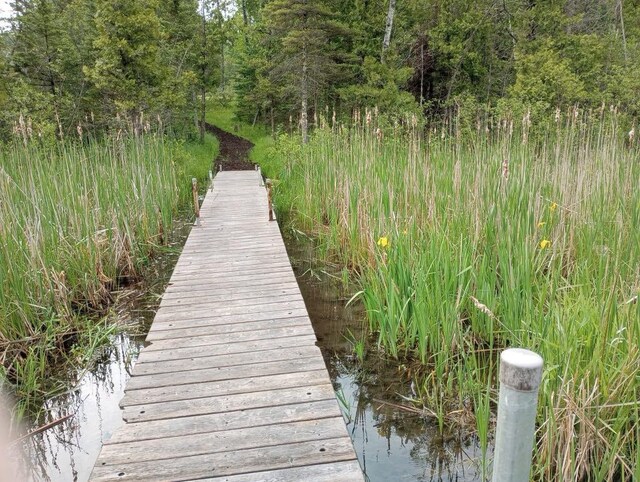 13242 Hubbard Lake Rd, Hubbard Lake, MI 49747 - dock featuring a view of trees