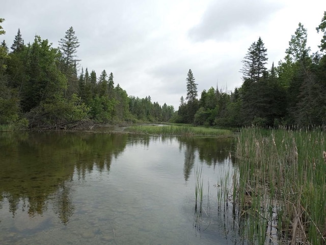 13242 Hubbard Lake Rd, Hubbard Lake, MI 49747 - water view with a heavily wooded area