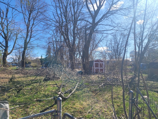 20635 Fardon St, Onaway, MI 49765 - view of yard