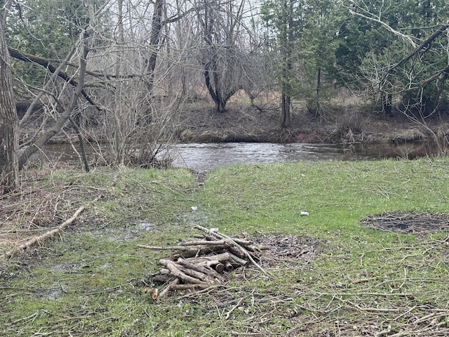 1393 Mackinaw Ave, Cheboygan, MI 49721 - view of yard