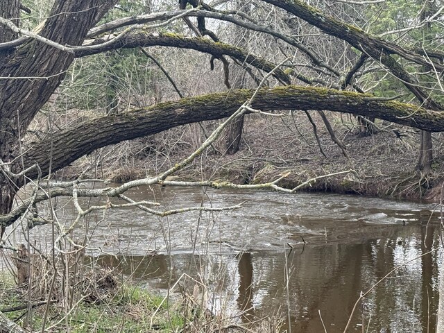 1393 Mackinaw Ave, Cheboygan, MI 49721 - view of local wilderness