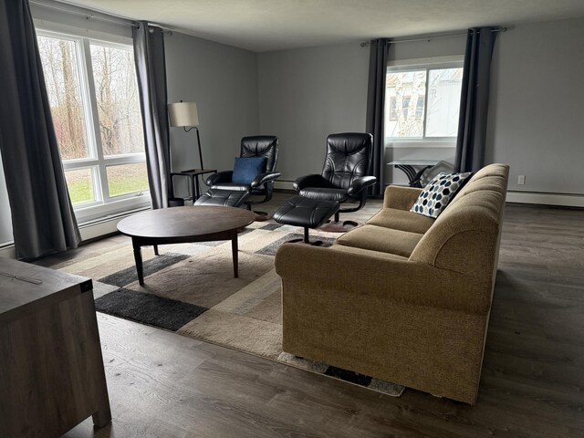 1393 Mackinaw Ave, Cheboygan, MI 49721 - living room with baseboard heating and wood finished floors
