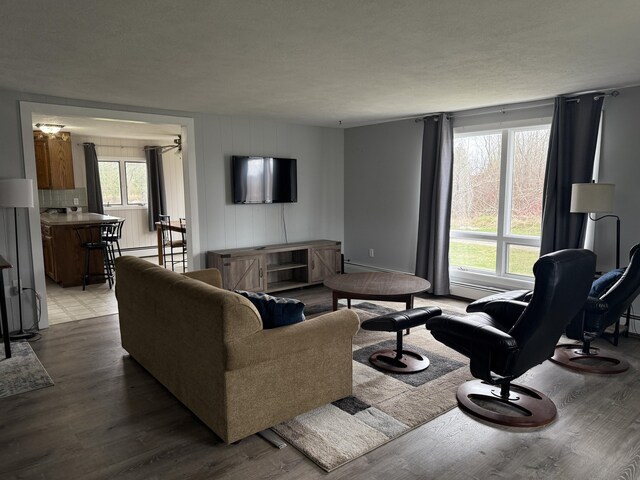 1393 Mackinaw Ave, Cheboygan, MI 49721 - living area featuring a baseboard heating unit and wood finished floors