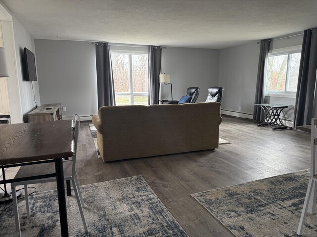 1393 Mackinaw Ave, Cheboygan, MI 49721 - living room featuring a baseboard radiator and wood finished floors