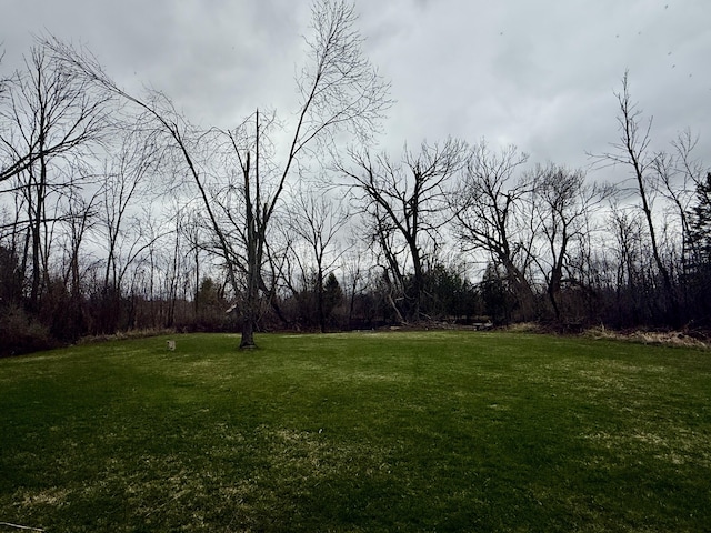 1393 Mackinaw Ave, Cheboygan, MI 49721 - view of yard