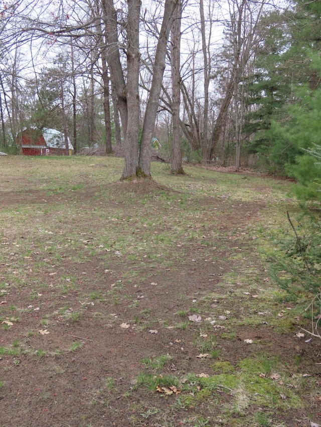 11706 Pettenger Rd, Atlanta, MI 49709 - photo 6