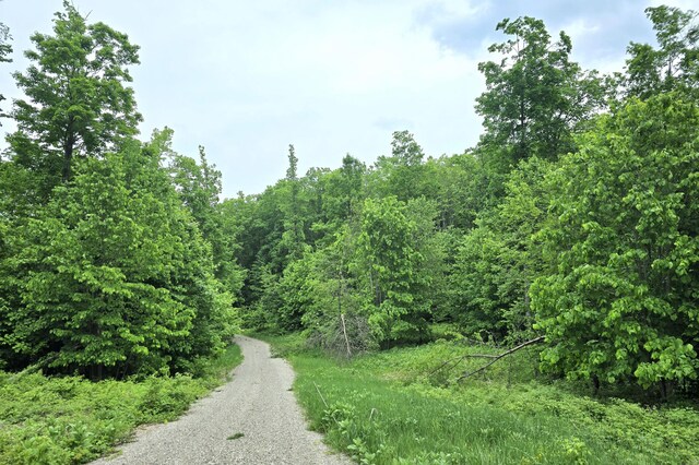 7428 Lost Dog Run, Gaylord, MI 49735 - photo 9