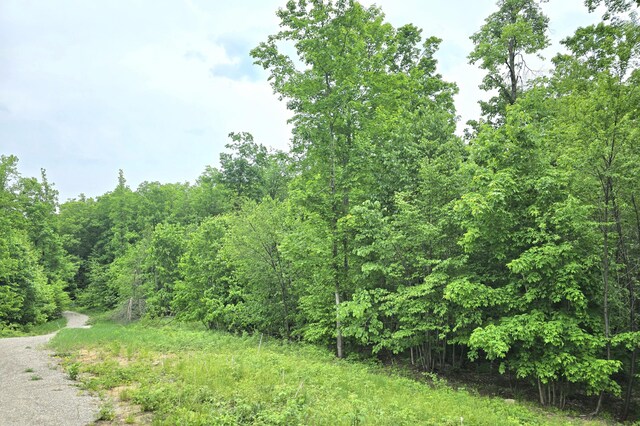 7428 Lost Dog Run, Gaylord, MI 49735 - photo 8