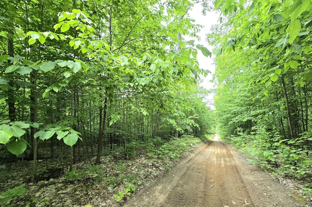 7428 Lost Dog Run, Gaylord, MI 49735 - photo 14