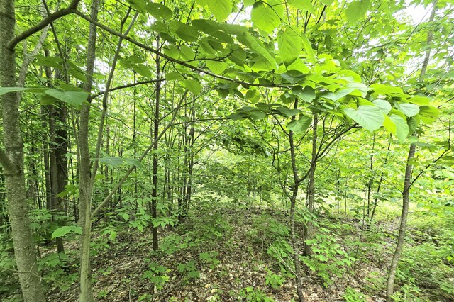 7428 Lost Dog Run, Gaylord, MI 49735 - photo 12