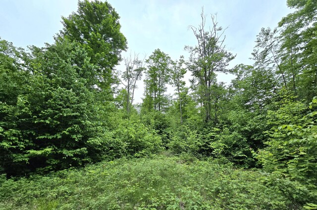 7428 Lost Dog Run, Gaylord, MI 49735 - photo 10