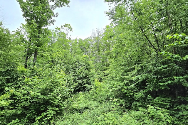 7428 Lost Dog Run, Gaylord, MI 49735 - photo 20