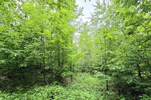7428 Lost Dog Run, Gaylord, MI 49735 - photo 21