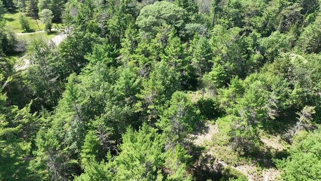 32568 E E Side Dr, Beaver Island, MI 49782