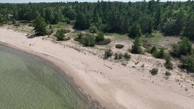 32568 E E Side Dr, Beaver Island, MI 49782