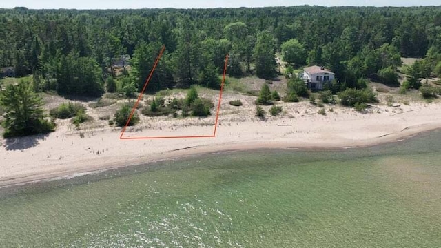 32568 E E Side Dr, Beaver Island, MI 49782